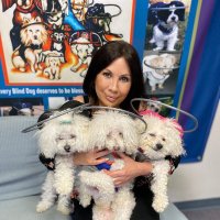 Second Chances For Blind Dogs (@scfbd2023) 's Twitter Profile