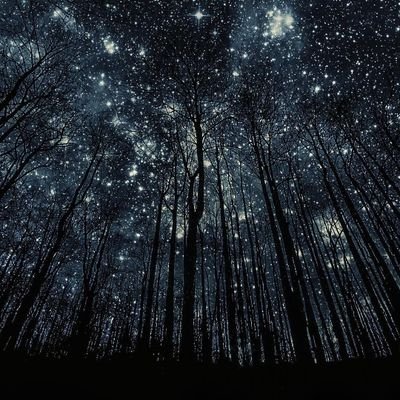 WhiteDamiun's profile picture. 