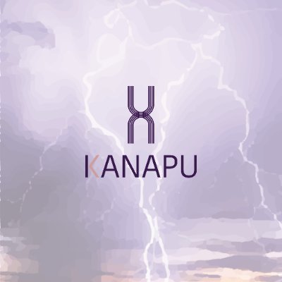 Kanapu is designed by Māori, for Māori to ignite Māori talent and leadership in research, science and innovation spaces.