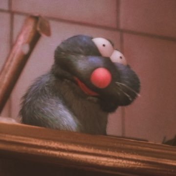 gabrie_lcs's profile picture. 