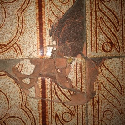 lajotaquebrada's profile picture. PER ASPERA AD ASTRA