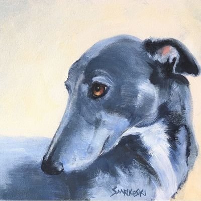 Entre galgos