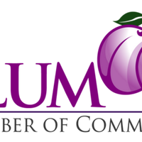 Plum Chamber (@plumchamber) 's Twitter Profile