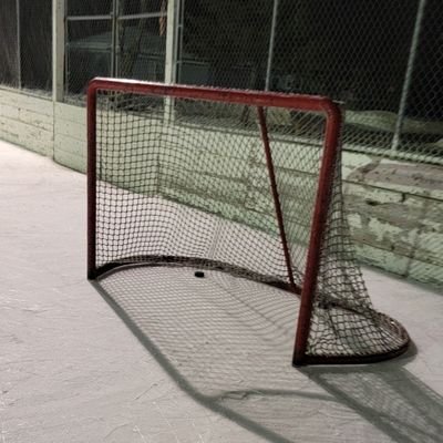 Taylor_l33n04's profile picture. 