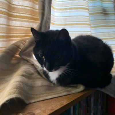 DKC53_'s profile picture. 