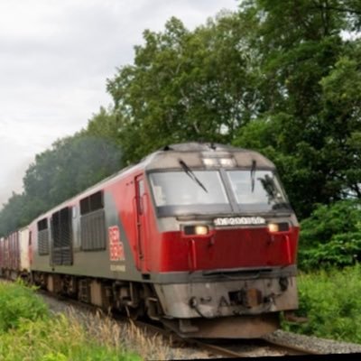 sard07120808's profile picture. 