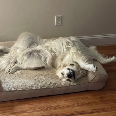 Espo4710's profile picture. NY Mets, NY Jets, NY Rangers.