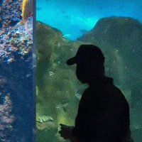 víctor (@vicblncs) 's Twitter Profile