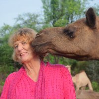 Ilse Köhler-Rollefson (@ilsekohler) 's Twitter Profile