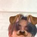 ᴘᴜɴᴘᴜɴ (@hiworld200318) Twitter profile photo ᴘᴜɴᴘᴜɴ (@hiworld200318) Twitter profile photo