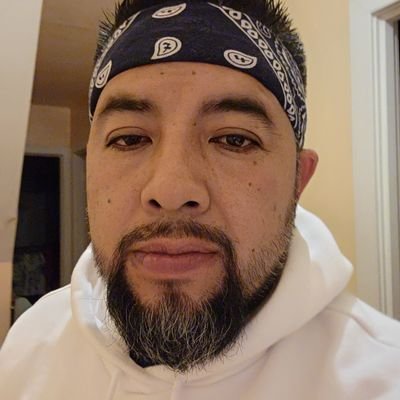 donato_mx's profile picture. 