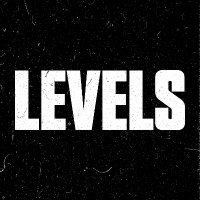 LEVELS NETWORK(@levelsnetwork) 's Twitter Profile Photo