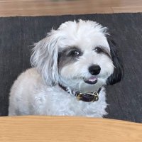 k8 (@k8gamble) 's Twitter Profile