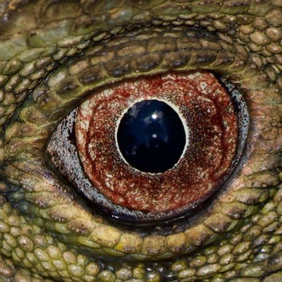 Join me on Bluesky - @johnkalish1.bsky.social Join me on Instagram - @johnkalish1 #quitx #quitX