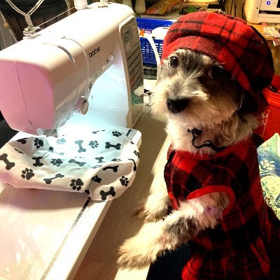Handmade unique clothes for your furry friends available here!