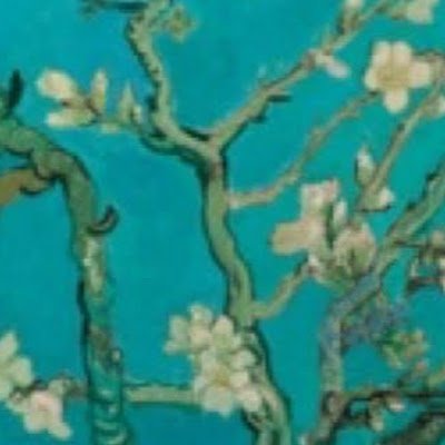 doquyendodo's profile picture. 