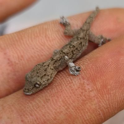 Fiaui60y9kIR8tV's profile picture. 