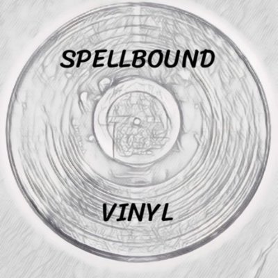 Bill Glahn Jr a.k.a Head Vinyl Head in  charge of Spellbound Vinyl