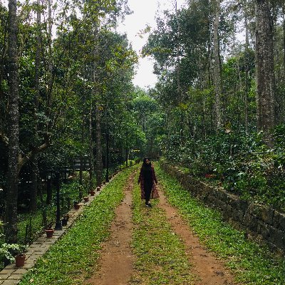 Drachelr3's profile picture. 