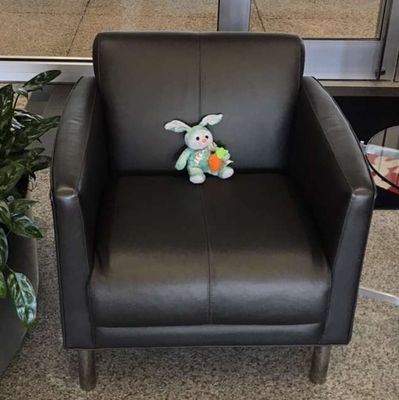 howdoihorse69's profile picture. Denial Burpton. 64 Years YOUNG! Herky-sneeze fan club. I eat dirt because it's scrumptious. My scrungly little guy stole my identity and my heart  💕@domifou 💕