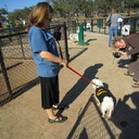 katie packheiser - @katieandspike - Twitter