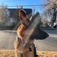 ForBeautiful (@forbeautiful6) 's Twitter Profile