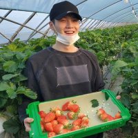 julesβ· (@yoongiborb) 's Twitter Profile