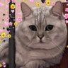 sky___ler's profile picture. เล่นทวิตเพราะติ่งน้องลิซ