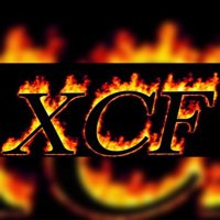 XCF(@XCFNBW) 's Twitter Profile Photo