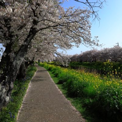 風景写真、夕夜景、草花を撮ること音楽・映画鑑賞が好みです。 あるがままに自分らしくをモットーにしています。