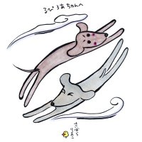 るぴろあ🐾ワイマラナー(@lupiloa_weim) 's Twitter Profile Photo