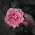 عبير أحمد (@abeerfaoz92) Twitter profile photo عبير أحمد (@abeerfaoz92) Twitter profile photo