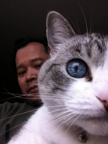 polynesianpop's profile picture. 