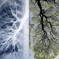 justasmartMan (@jetlaggedman) 's Twitter Profile