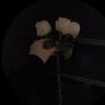 farouha966's profile picture. لن تجدني في ضجيج المشاعر .. ابحث عني في منازل الروح الحانية  ..🫂🤍