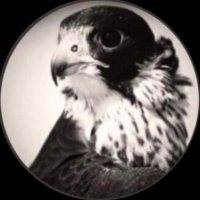 اڵڜامـــ خٓ ــــهّ (@z2au2019) Twitter profile photo