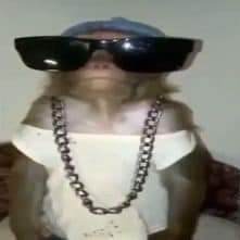 Radixmonster14's profile picture. Video juegos