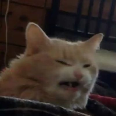 fttckz's profile picture. 