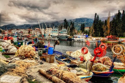 emsones's profile picture. 