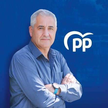 Deputado do Parlamento de Galicia.
Voceiro do grupo municipal do Partido Popular de Caldas e Reis.
Economista, asesor fiscal e administrador concursal.
Caldense