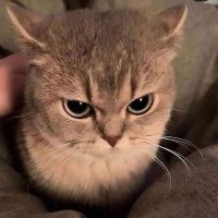 VI-100 (@_kickpush) 's Twitter Profile