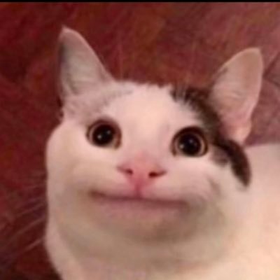 rikku12051's profile picture. hornet250🐝/19/埼玉 インスタ→ https://t.co/B5SXO40LXV