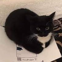 maxwell11111112's profile picture. 