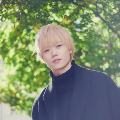 naoyamiyase Profile Picture