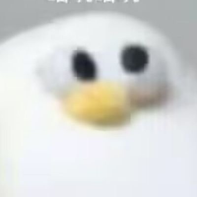 eco.ccさんのプロフィール画像