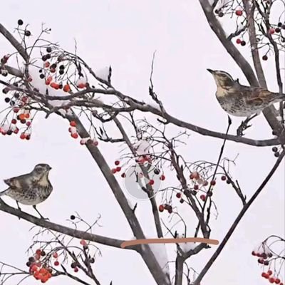 jameswang4648's profile picture. IT business worker.