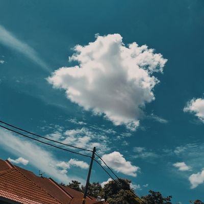 frhanaasalleh's profile picture. Book | Novel | Badminton