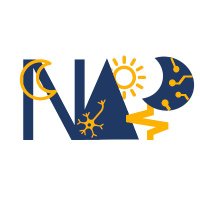 NAP (@nap_horizoneic) 's Twitter Profile Photo NAP (@nap_horizoneic) 's Twitter Profile Photo
