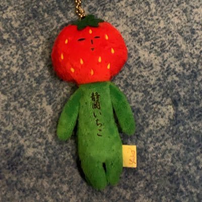 ここねというネコをお世話させてもらってます