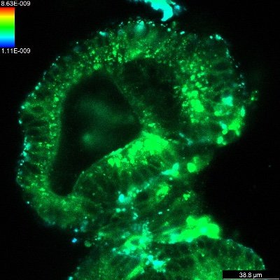 PhotoBioLab Profile Picture